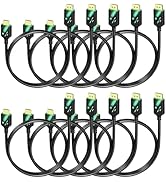 RyzzRooa 4K DisplayPort to HDMI Cable 6 FT, 10-Pack, Gold-Plated DP to HDMI Cord Adapter Male to ...