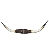 AMAJY Faux Bull Longhorn Skull with Tooled Leather Floral Design Wall Mount Decoration - Resin St...