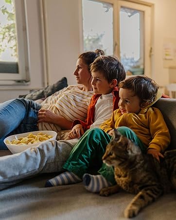 protect home house mices rats rodents safe