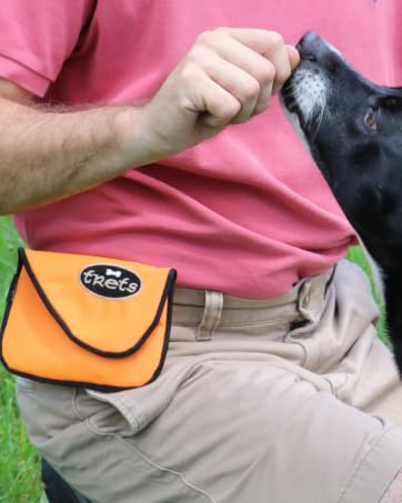 treat pouch