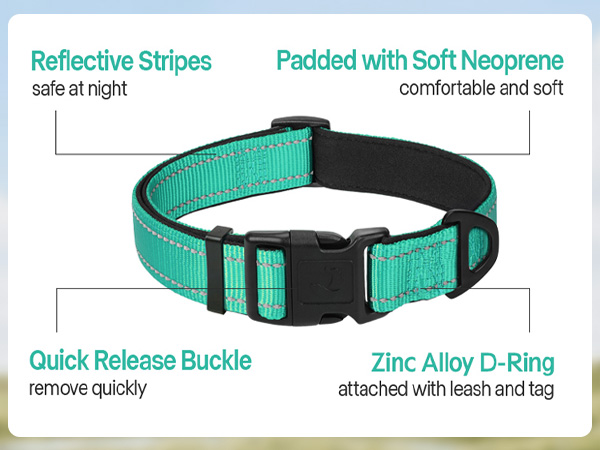 dog collar