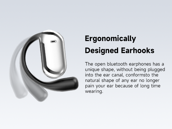 ear hook
