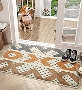 Color G Indoor Door Mat Front Door Mat 24"x36" Waterproof, Non Slip Washable Quickly Absorb Moist...