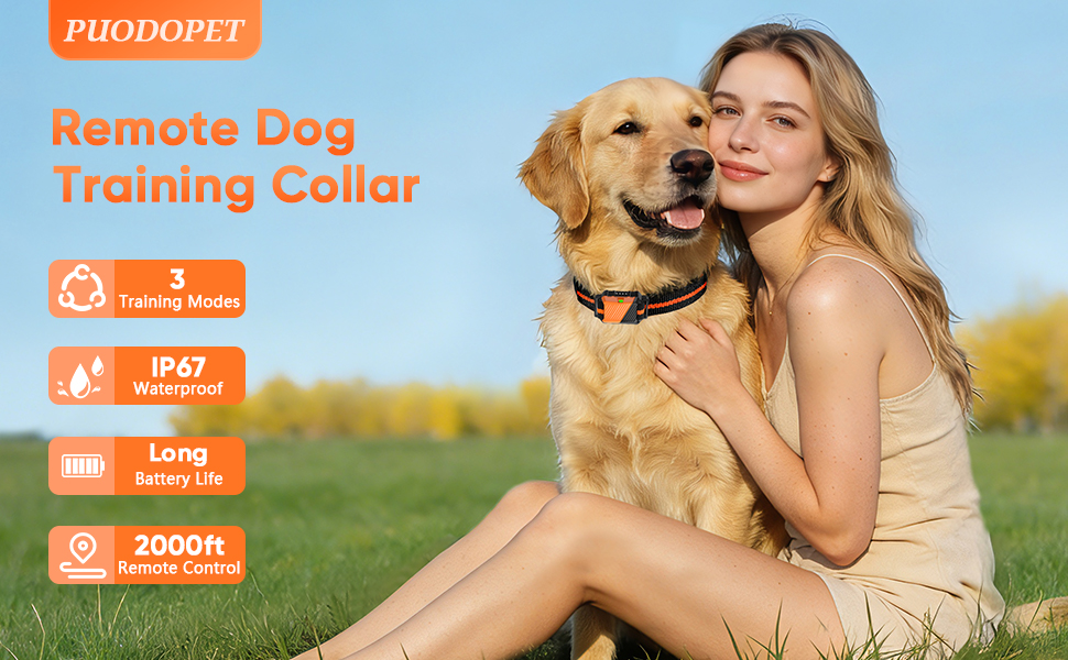 remote dog training collar