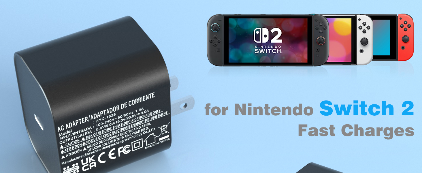 nintendo switch charger