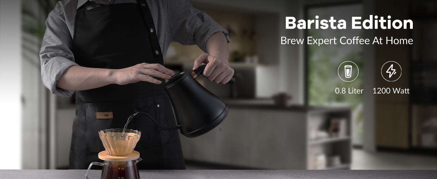 Electric Gooseneck Kettle