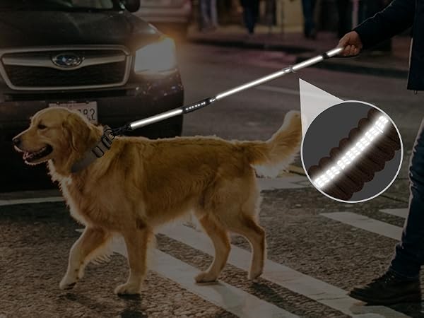 360 degree reflective stitching dog lead for night walking safety under car headlights