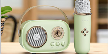 microphone and speaker set