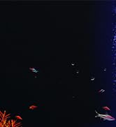 Aquarium Air Bubble Light