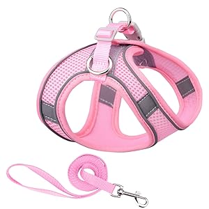 cat harness