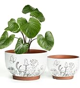 YBX 8 Inch &amp; 6 Inch Terracotta Pots, Plant Pots, Flower Pots for Indoor Plants with Drainage, Pla...