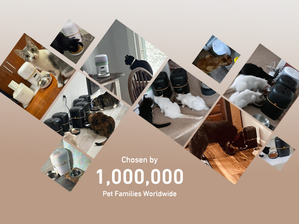 automatic cat feeder automatic cat food dispenser pet feeder