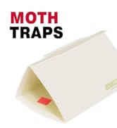 Catchmaster Pantry Pest &amp; Moth Traps 2-Pk, Bug Killer for Closet, Kitchen Storage, &amp; Pantry, Stic...