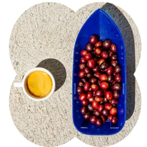 Top down photo of a mug of coffee and tray of coffee cherries