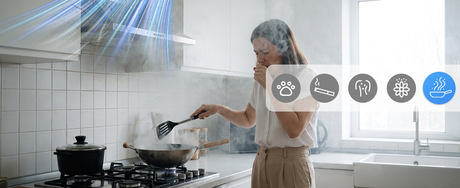 air cleaner for home