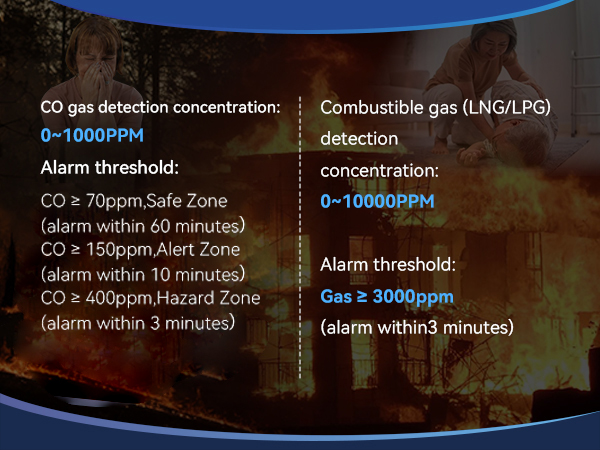 gas and carbon monoxide detector