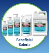 beneficial bacteria packaging
