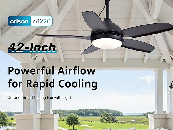 42 inch ceiling fan