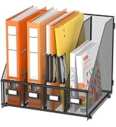 DALTACK Desk Organizers Metal Magazine File Holder with 4 Vertical Compartments Folder Storage Bi...