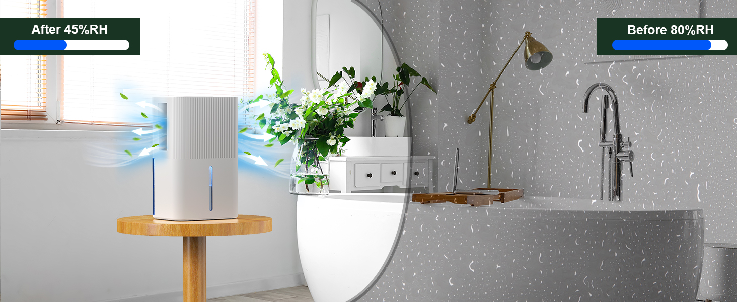 Compact moisture absorber for small spaces lockers pantry and wardrobe
