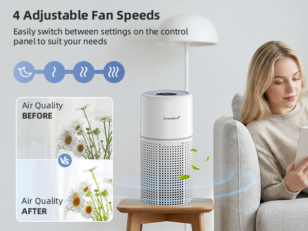 air purifier large room