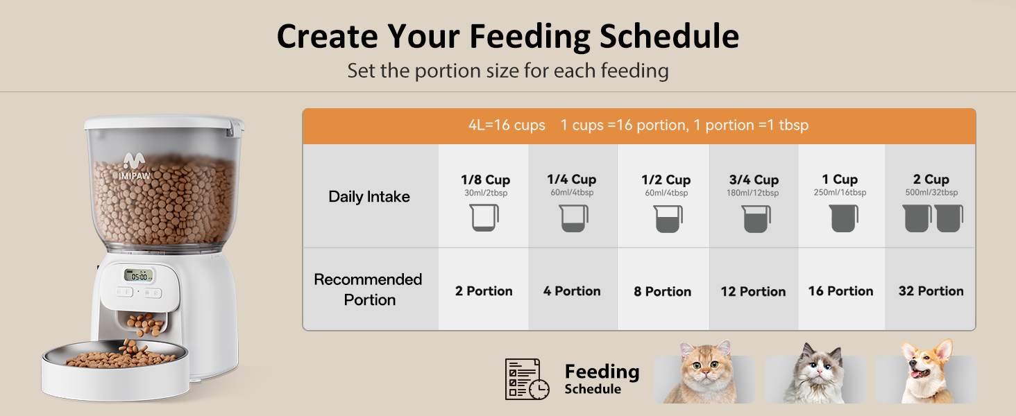 cat automatic feedr