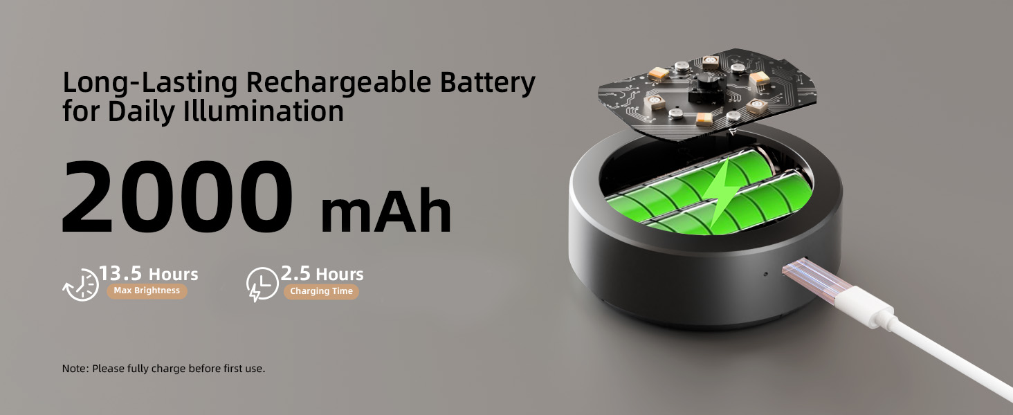 picture light battery operated