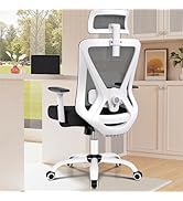 FelixKing Office Chair, Comfortable Mesh Home Office Desk Chairs with Adjustable Headrest &amp; Lumba...