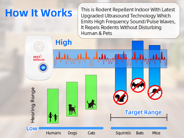 pest repellent ultrasonic plug in
