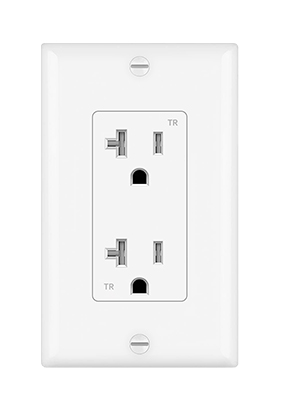 20A outlet snow white with plate