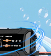 ECO-Worthy 12V/24V 20A Smart Battery Charger Maintainer, Auto Voltage Detect for LiFePO4 Lead-Aci...