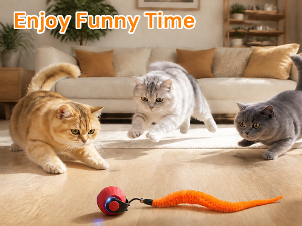automatic cat toys for indoor cats