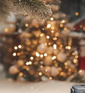 RESTMO 5-Piece Outdoor Waterproof Electrical Box Set – 12.5" x 8.5" x 5" Large & 7.1" x 2.3" x 2....