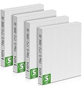 XBGG 4 Pack C545 HEPA Replacement Filter S for Winix C545 Air Purifier, C545 True HEPA Type S Rep...