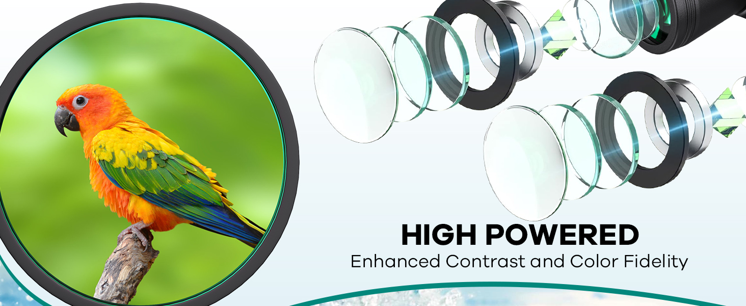 binoculars for birdwatching