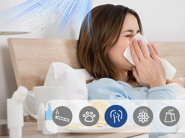 air purifiers for home large room