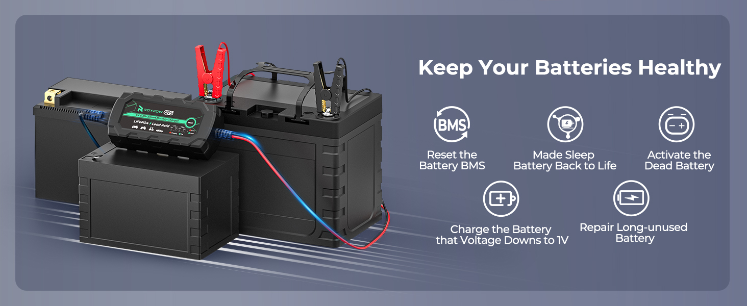 12V 1A LiFePO4 Battery Charger