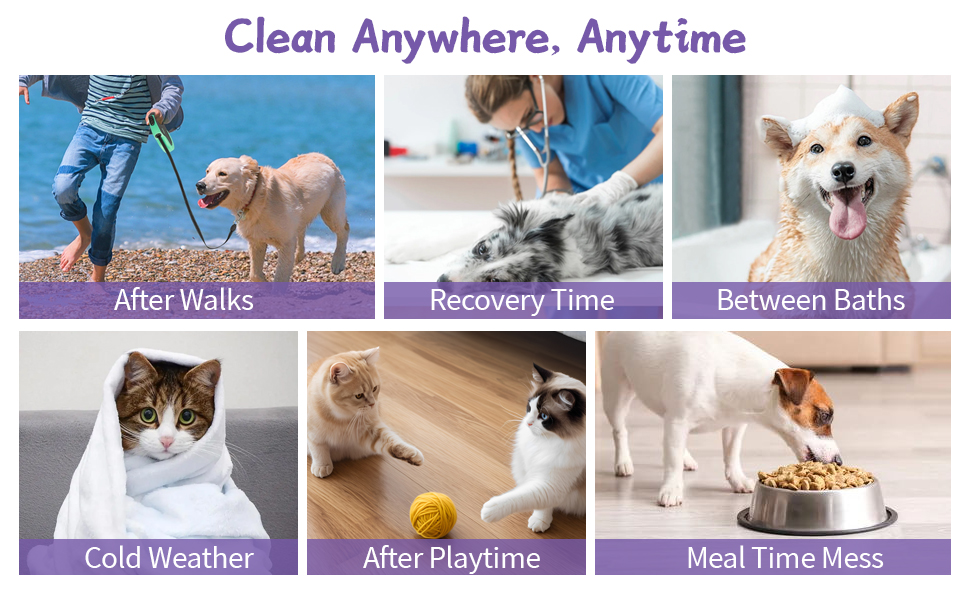 wet wipes for dogs