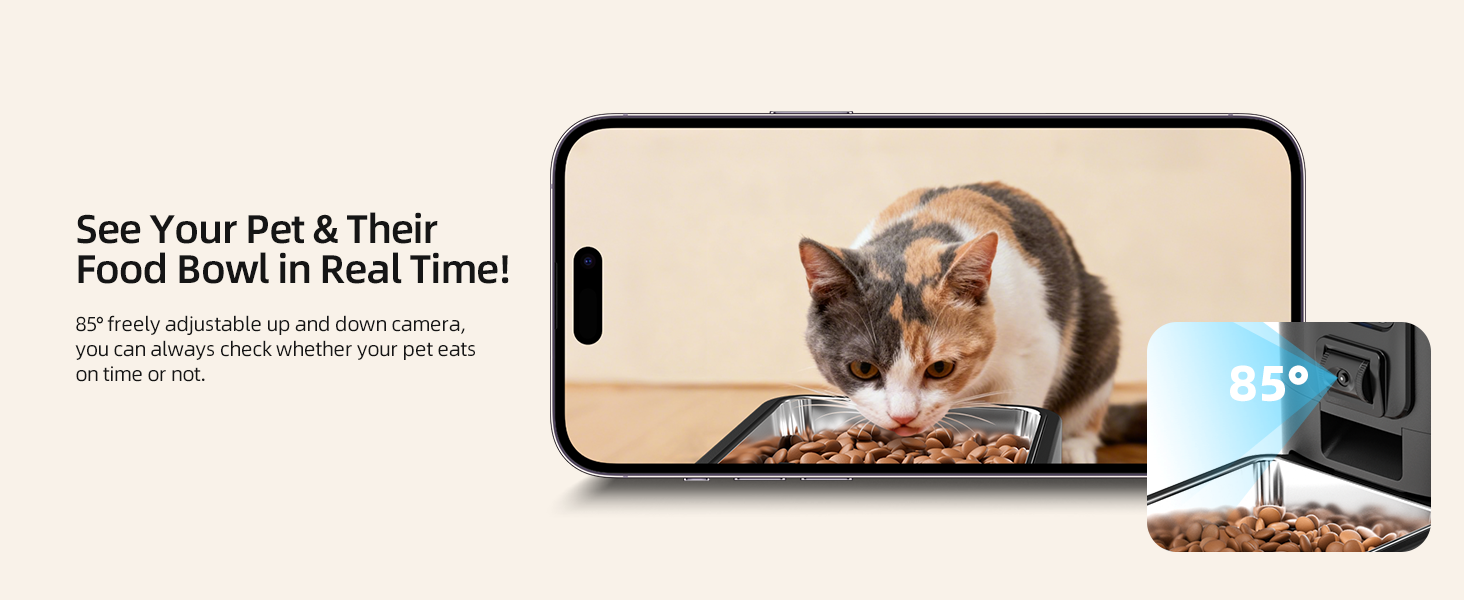 automatic cat feeder