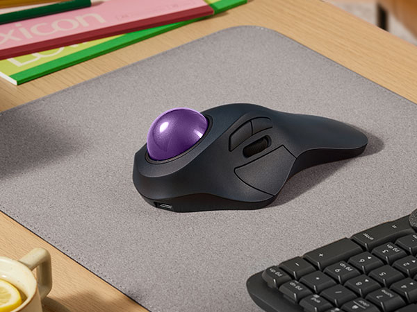 mouse