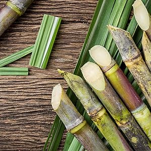 sustainable material