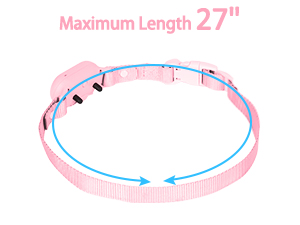 dog training collar