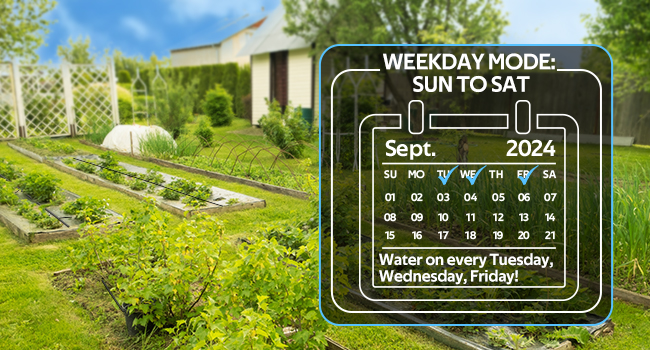 sprinkler timer outdoor