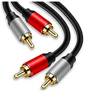 Tan QY 2RCA to 2RCA Cable 3Ft, Gold-Plated 2 RCA Male to 2 RCA Male Stereo Audio Cable for Home T...