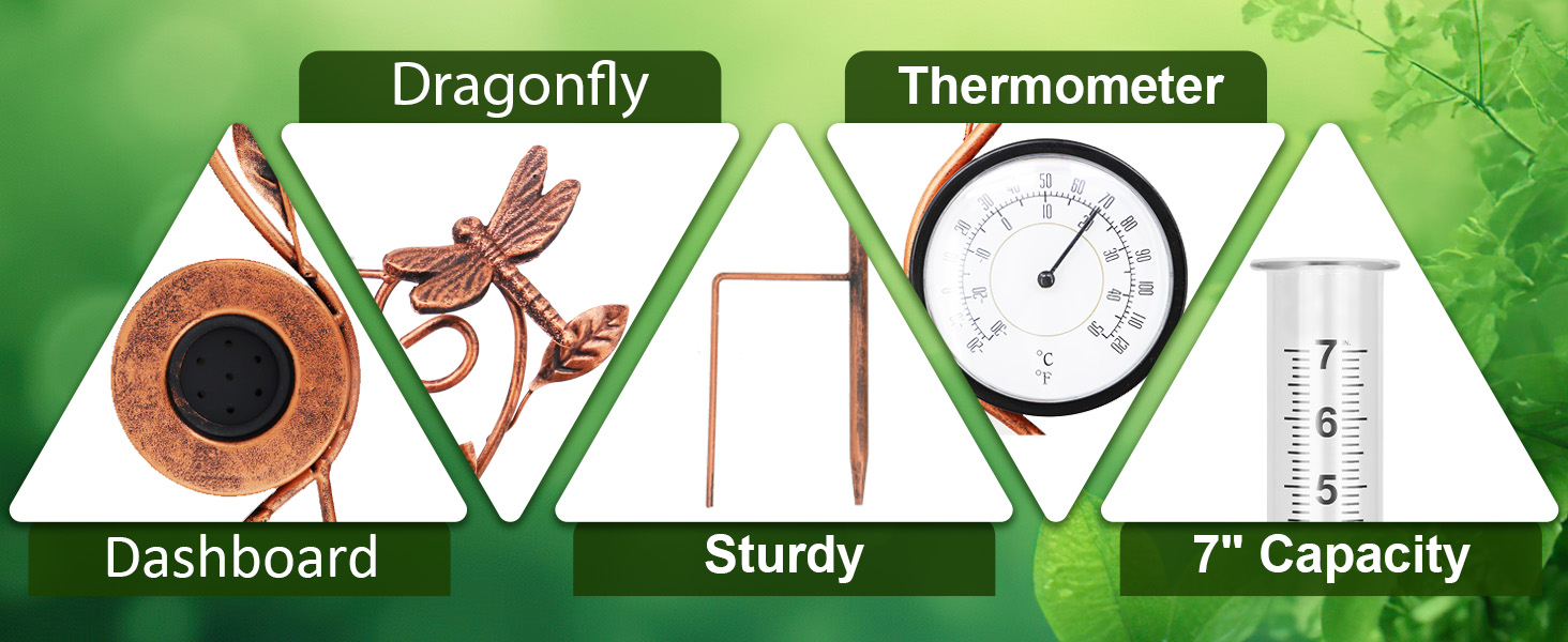 Product Details Display