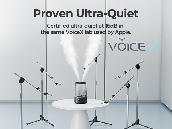 vaporizer for congestion