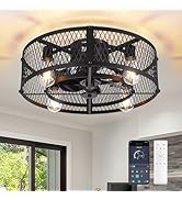 Depuley Small Ceiling Fan with Lights: 20" Low Profile Ceiling Fan Reversible - Industrial Caged ...