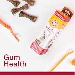 dog dental care puppy tooth brushing kit cat dental care dog toothpaste and brush dog tooth paste