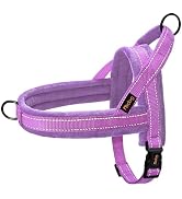 Didog Soft Flannel Padded Dog Vest Harness, No Pull/Quick Fit Reflective Dog Strap Harness, Easy ...