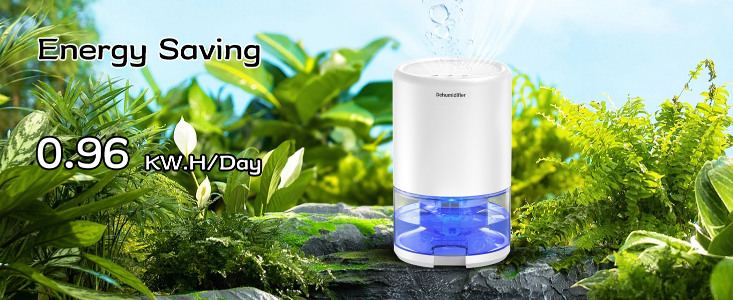 dehumidifier